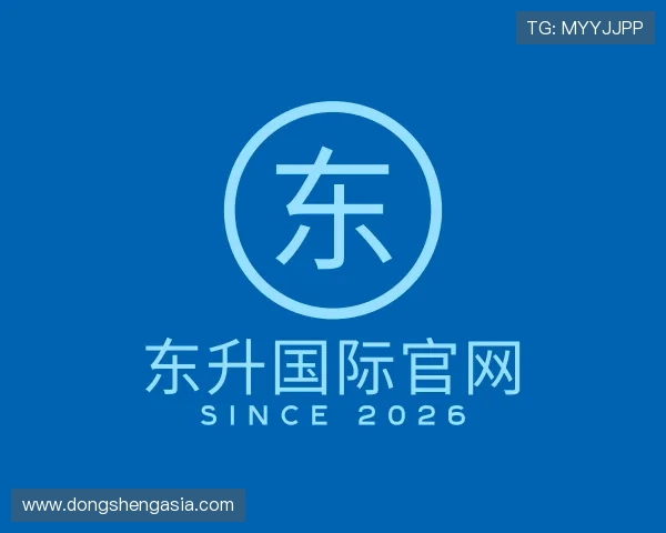 介绍东升国际官网